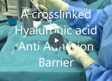 hyaregen vid1